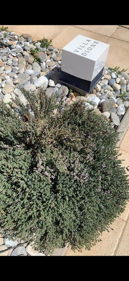 Dione Villa كوكينوس بيرغوس المظهر الخارجي الصورة
